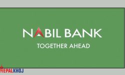 नबिलले ९ महिनामा कमायो ३ अर्ब ३५ करोड