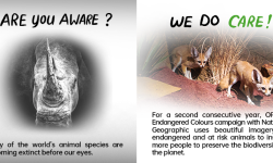 ओप्पोले ‘अर्थ डे’ को अवसरमा ग्रिन टेक्नोलोजी प्रयोग गर्दै