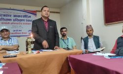 ‘कार्ड र बुम बोकेर जे पनि गर्ने छुट पत्रकारलाई छैन’