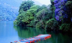 फेवातालमा साइँली डुंगा सरर…