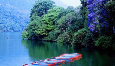 फेवातालमा साइँली डुंगा सरर…