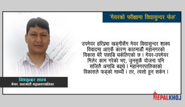 विद्यासुन्दरका लोभलाग्दा १०१ आश्वासन, काम भने ‘जिरो’