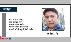 रोक्न हुन्न प्रवाहलाई