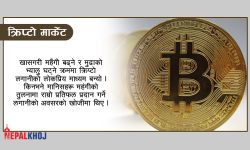 बढे किप्टोकरेन्सीका लगानीकर्ता