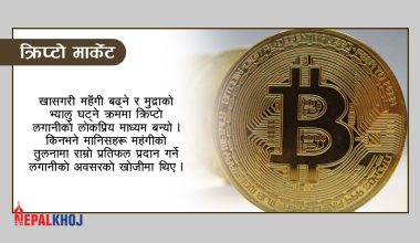 बढे किप्टोकरेन्सीका लगानीकर्ता