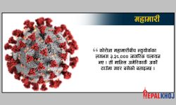 कोभिड प्रभाव : अमेरिकामा आन्तरिक विस्थापन कहाँ-कति ?