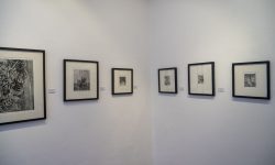 ‘बिट्वीन लाइन्स एन्ड लेयर्स’ कलाचित्र प्रदर्शनी