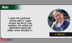 ‘प्रदूषण हटाउन यी थोरै काम तत्काल गर्न सम्भव छ’