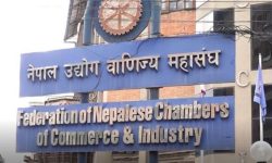 आय कर छुटको सीमा व्यक्तिलाई ७ र दम्पतिका लागि ८ लाख बनाउन व्यवसायीको माग