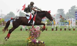 घोडेजात्रा पर्व मनाइँदै