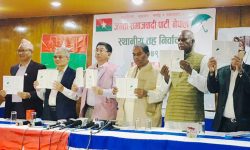 के छ जनता समाजवादी पार्टी नेपालको घोषणापत्रमा ?