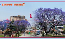 बैजनीले सिँगारियो काठमाडौं (फोटो फिचर)