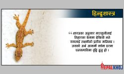 माउसुली !