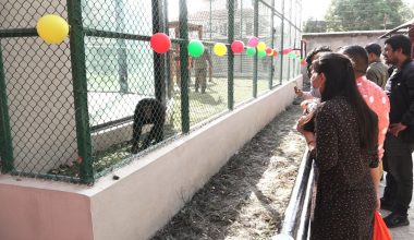 सदर चिडियाखानामा ‘चिम्पान्जीको घर’