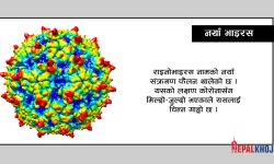 कोभिडकै लक्षण देखाउने एउटा अर्को भाइरस