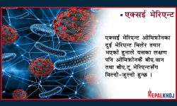 कसरी जोगिने एक्सईको चौथो लहरबाट ?