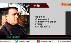 यो छाया कसको हो ?