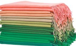 ‘पस्मिना उत्पादनको पहुँचका लागि अन्तराष्ट्रिय बजार विस्तारमा सरकारको सहयोग आवश्यक’