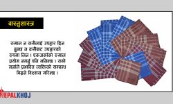 सित्तैमा यी चिज लिन हुँदैन !