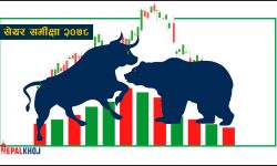 सेयर बजारमा इतिहास रचेको वर्ष !