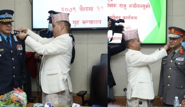 सिंह र अर्याललाई दर्ज्यानी चिह्‌न प्रदान