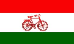 धनुषा र सिरहामा लोसपालाई निराशा