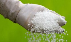 झापामा रासायनिक मलको अभाव