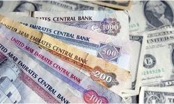 कोरियन वन एक सयको ९ रुपैयाँ ७३ पैसा तिर्नुपर्ने