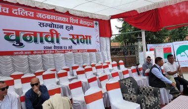 काठमाडौंमा सत्ता गठबन्धनको चुनावी सभा