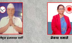 ओलीको गृहनगर दमकको मेयरमा राप्रपाले मतान्तर बढाउँदै, उपमेयरमा एमाले अगाडि