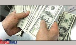 अमेरिकी एक डलरको १२२ रुपैयाँ ७७ पैसा तिर्नुपर्ने, अरुको भाउ कति ?