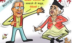 घोचपेच !