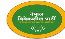 प्रवासी नेपालीलाई मताधिकार दिने व्यवस्थाकाे नेपाल विवेकशील पार्टीद्वारा स्वागत