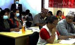 कानुन बनाएर मात्रै सौन्दर्य प्रतियोगिताको अनुमति दिन सरकारलाई निर्देशन