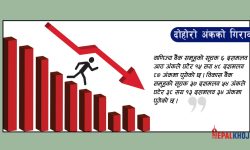 १५ अंकले नेप्से घट्दा एक अर्ब २९ करोडको कारोबार