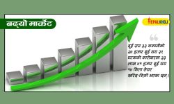 १७ अंकले नेप्से बढ्दा एक अर्ब ३२ करोडको कारोबार
