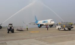 जजिरा विमानमा चरा ठोकिएको आशंका, घण्टौंदेखि होल्डमा