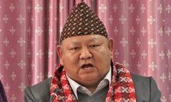 देश र नागरिकको काम गरेरै सात महिना बिताएँ : प्रेम आले