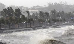 भारतीय पूर्वी राज्य बिहारमा आँधीबाट ३३ जनाको मृत्यु