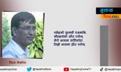 विवश पोखरेलका ५ मुक्तक