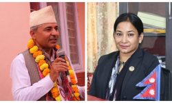 भरतपुर महानगर : ५५ मत गन्दा एमालेको अग्रता