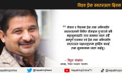 ‘तीन तहमा बन्दै गरेका प्रेससँग सम्बन्धित कानुनका मस्यौदा संविधानको मूल मर्मसँग मिलेन’