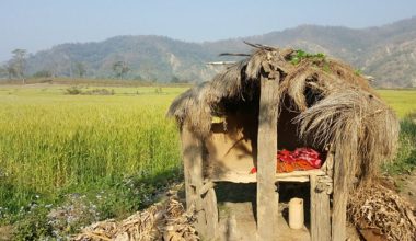 बालविवाह र छाउपडी प्रथा अन्त्य गर्न माग