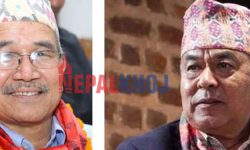 चिरिबाबु महर्जन ३५,७०३ Vs  हरिकृष्ण व्यञ्जनकार २०,९४२