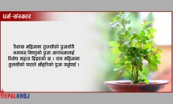 वैशाख महिनामा तुलसीको पूजा !