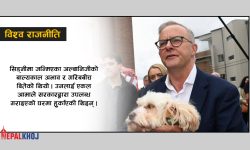 अस्ट्रेलियामा पनि स्वतन्त्र उम्मेदवारकै दबदबा !