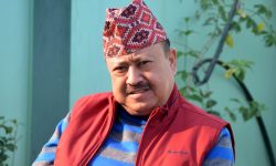 धनगढी उपमहानगरमा स्वतन्त्र उम्मेदवार हमालको सुरुवाती अग्रता