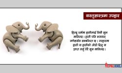 यी उपहार  हुन्छन् धेरै शुभ !