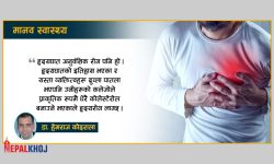 हृदयाघातका कारणहरु !