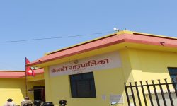 कैलारीका तीन वडामा कांग्रेस विजयी